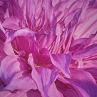 Pink Eegance